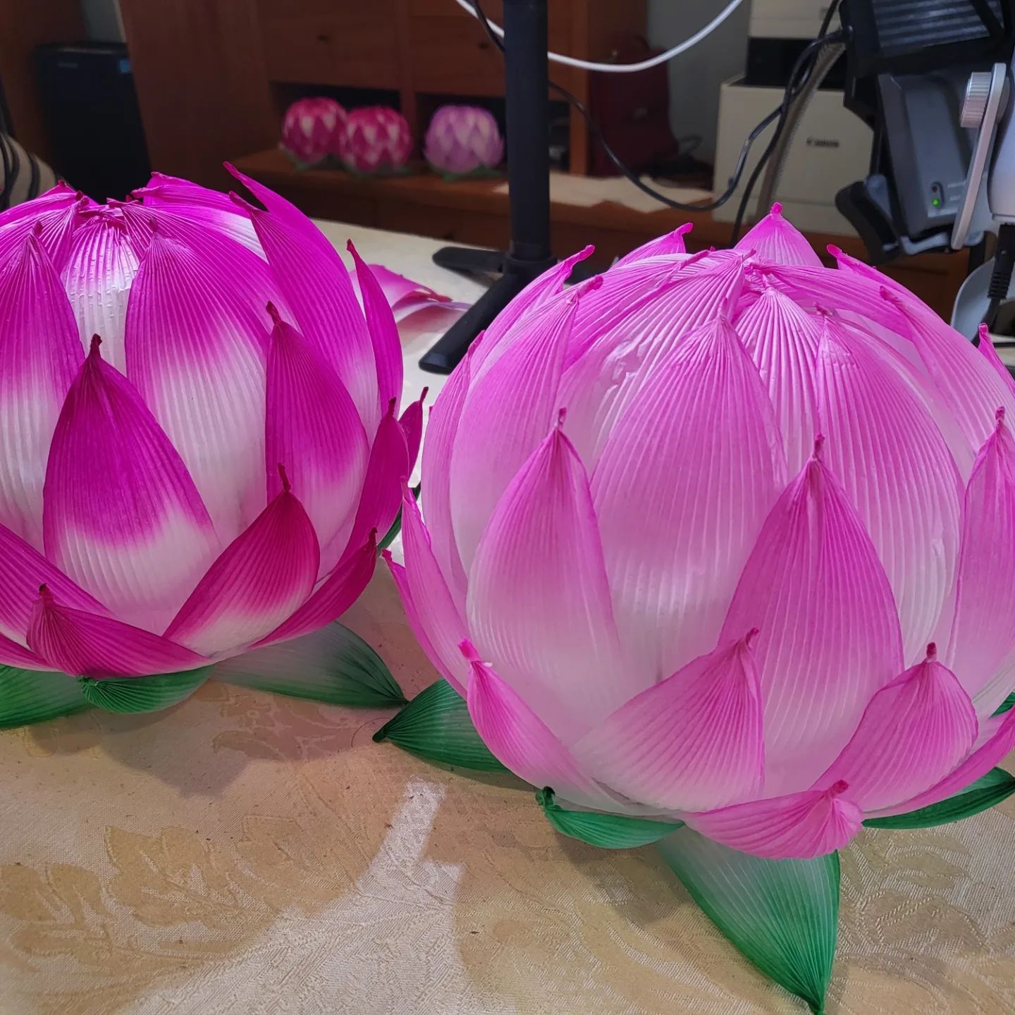 Photo of lotus lanterns.
