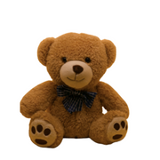 Photo of a brown teddy bear.