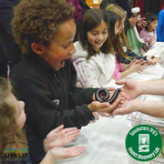 Photo of a young child holding a millipede.