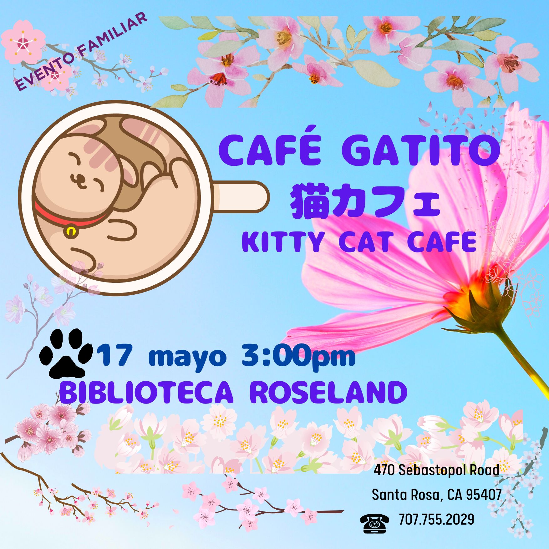 Cafe Gatito Kitty Cat Cafe