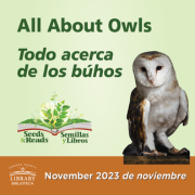 Seeds & Reads: All About Owls