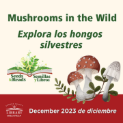 Mushrooms in the Wild.