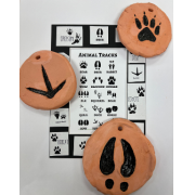 Photo of animal tracks in terracotta clay, painted black.