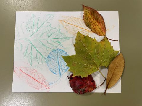 Real fresh leaves and leaves rubbings on paper with crayons