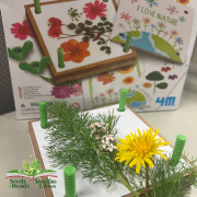 Photo of dandelion and other plants sitting on a flower press.