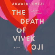 The Death of Vivek Oji