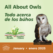 All About Owls 2025