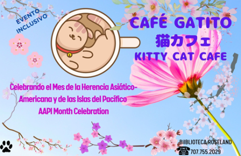 Cafe Gatito Kitty Cat Cafe