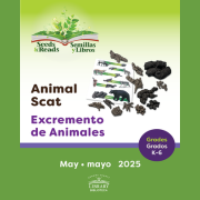 Photo of animal scat display.
