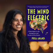 Author Talk