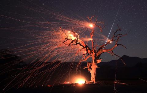 A photo by Kent Porter featuring a tree struck by lightning in the foreground with a meteor in the night sky in the background.