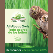 All About Owls with a photo of two brown owls.