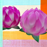 Photo of two pink paper lotus lanterns.