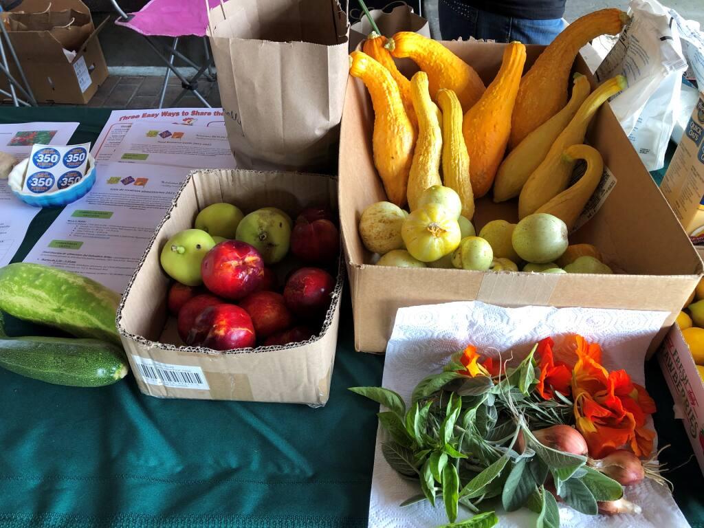 Photograph: Fruit and vegetables arrayed on a table