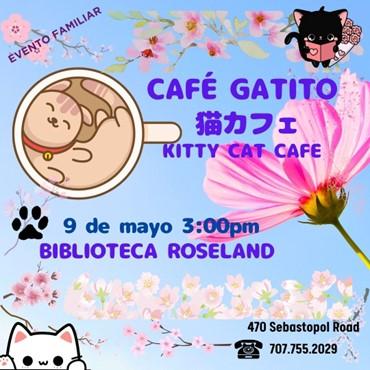 Cafe Gatito Kitty Cat Cafe