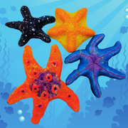 Photo of colorful painted sea stars made of salt dough.