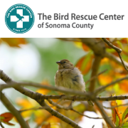 Bird Rescue Center